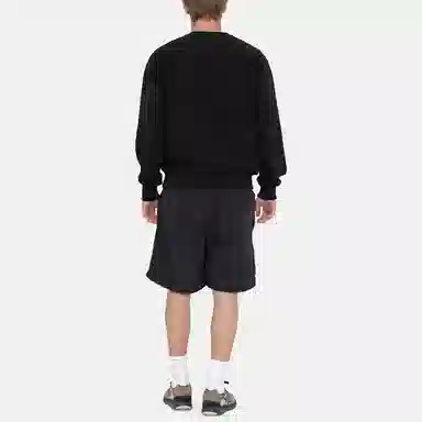 Stussy SS23 Logo CURLY S WATER SHORT