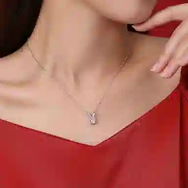 PARAS KORS PK Rabbit