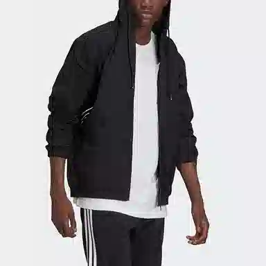 adidas originals Sprt Arc Wndbkr