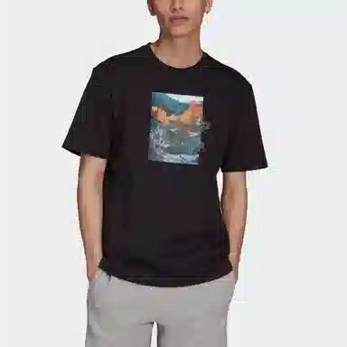 adidas originals Ldsp Tee T