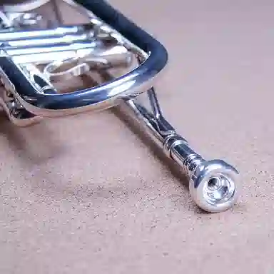 YAMAHA YTR-S1YTR-S1S B(Bb)