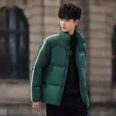 鸭鸭 条纹立领休闲宽松羽绒服 男款