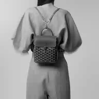Goyard Alpin Mini Backpack Black
