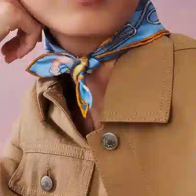 Hermes Chevaloscope Neon Scarf