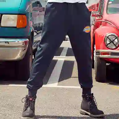 Dickies FW21 Logo