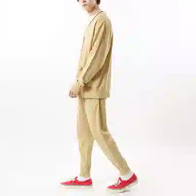 Champion V