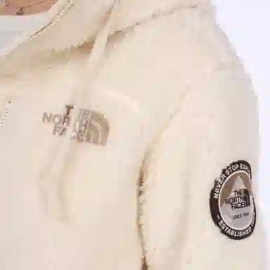 The North Face Logo Fleece Hoodie Beige