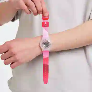 SWATCH 41mm SO29Z105