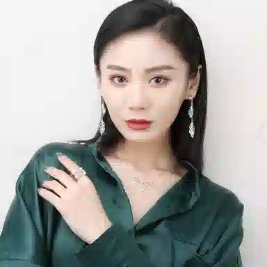 DaisyFellowes DF S925 ins AY