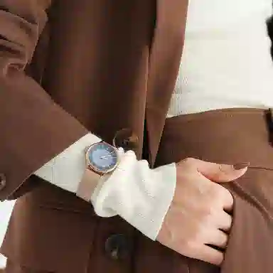 ANNE KLEIN AK-3722NMRG