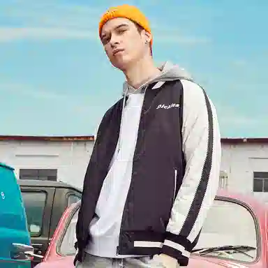 Dickies Logo