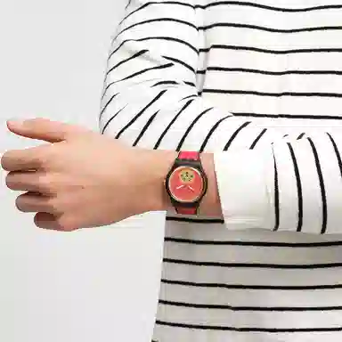 SWATCH 30 40-43mm SO32Z107