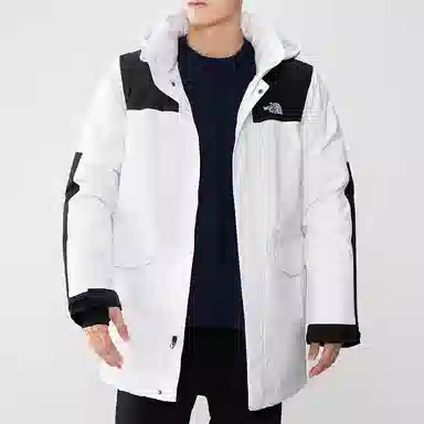 THE NORTH FACE Logo550