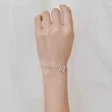 DaisyFellowes DF S925