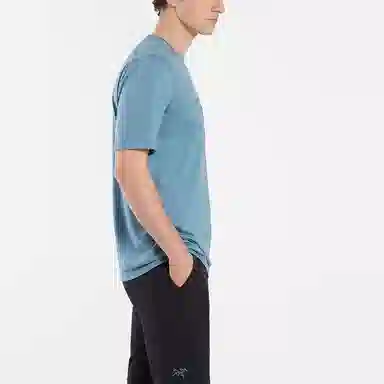 Arcteryx Ionia Merino Wool Logo Tee LogoT