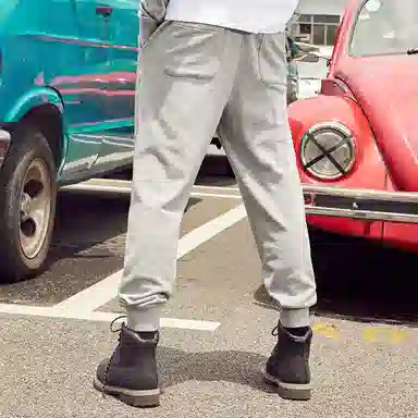 Dickies Logo