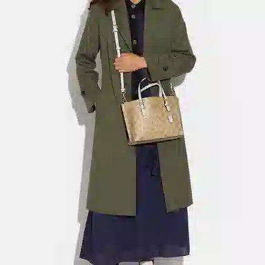 COACH Mollie 25 Tote