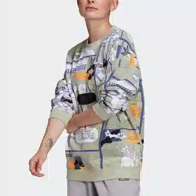 adidas originals Sweatshirt