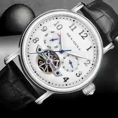 Sea-Gull 50 819.17.6123