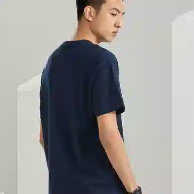 Dickies logoT