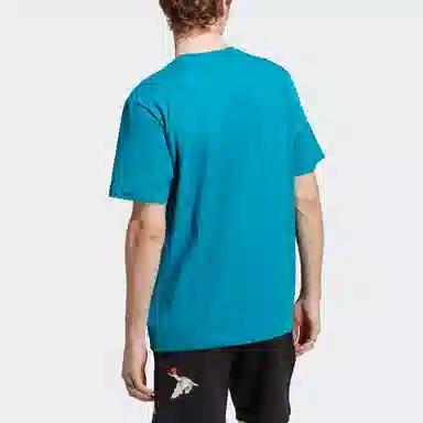 adidas originals Adventure Graphic Tee LogoT