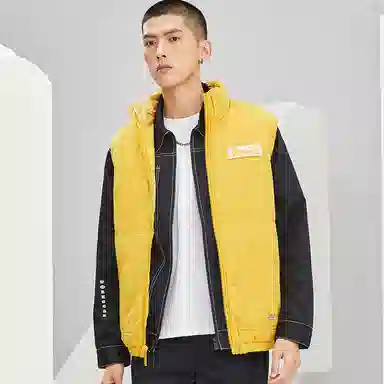 Dickies logo