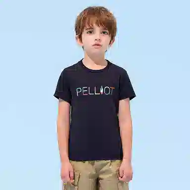 PELLIOT T