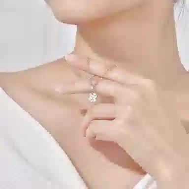 DaisyFellowes S925DF