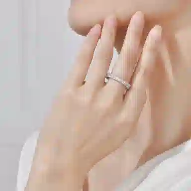 DaisyFellowes S925DF AY