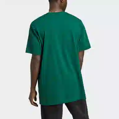 adidas originals Adv Mtn F Tee LogoT