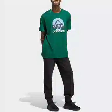 adidas originals Adv Mtn F Tee LogoT