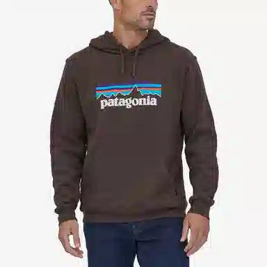 patagonia SS22 Logo