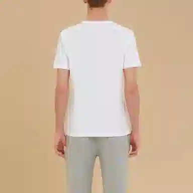 Champion C Basic T