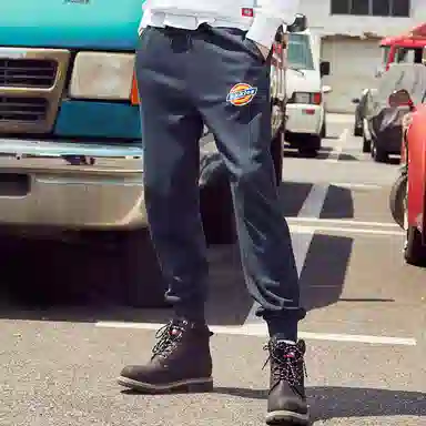 Dickies FW21 Logo
