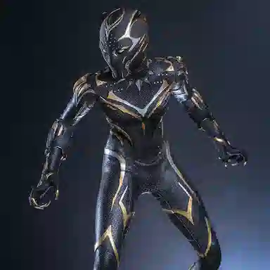 Hot Toys Black Panther Wakanda Forever 1:6 Scale