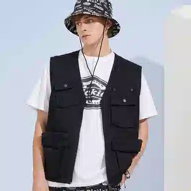 Dickies