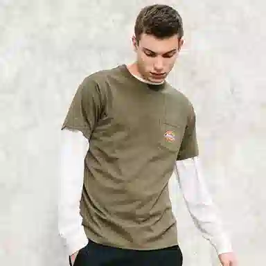 Dickies SS21 logoT