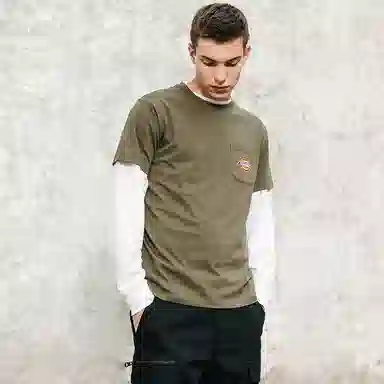 Dickies SS21 logoT