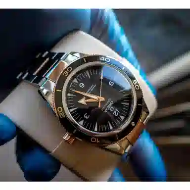 Omega Seamaster 233.20.41.21.01.001