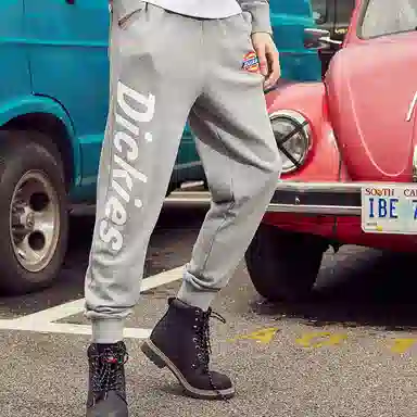 Dickies Logo