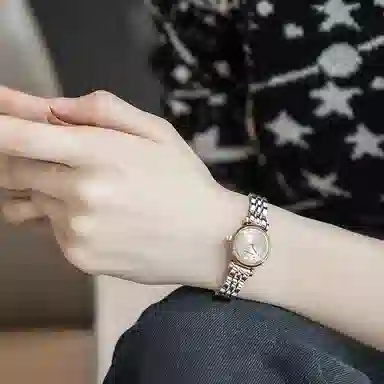 EMPORIO ARMANI 22mm AR1841