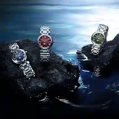 LONGINES 30.5mm L8.115.4.91.6