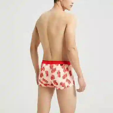 Calvin Klein Logo Print Boxer Briefs Red