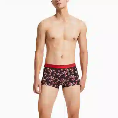 CKCalvin Klein Logo 1