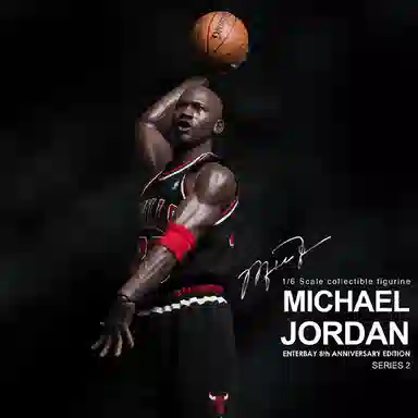 ENTERBAY 23 8 jordan
