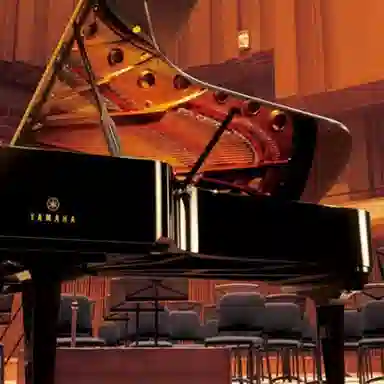 YAMAHA YDP-165
