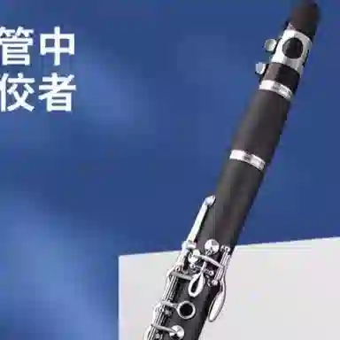 Bull Fighter() B DHG-100 ABS