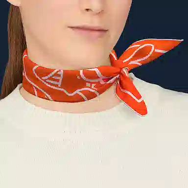 HERMES 45VermillonRose