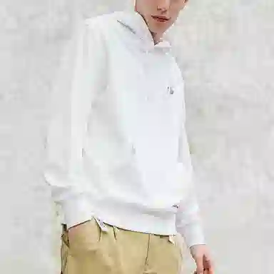 Dickies Logo