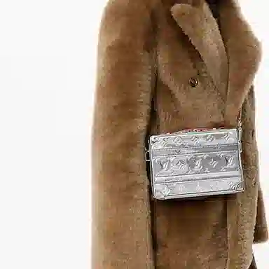 LOUIS VUITTON Handle Trunk